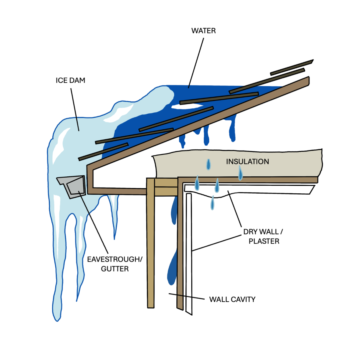 Ice Dam Removal project 2